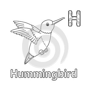 Hummingbird Alphabet ABC Isolated Coloring Page H