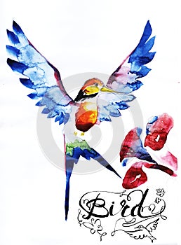 hummingbird bird icon graphic, icon, watercolor drawing, line,