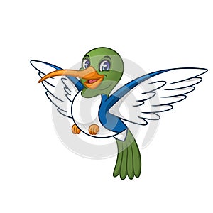 Hummingbird Cartoon Character Design Vector Illustration