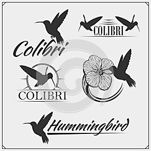 Hummingbird colibri bird silhouettes, logos, emblems and design elements.