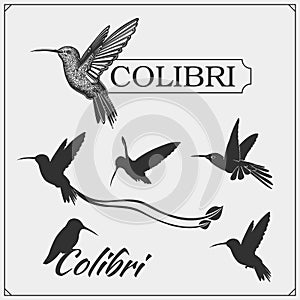 Hummingbird colibri bird silhouettes, logos, emblems and design elements.