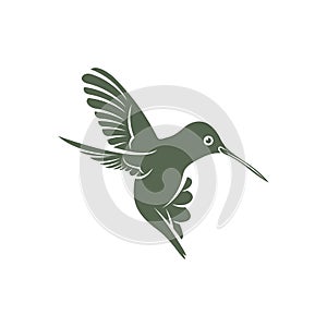 Hummingbird design vector illustration, Creative Hummingbird logo template, icon symbol