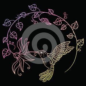 Hummingbird drinking nectar from a flower. A flying hummingbird inscribed in a circle of flowers. Stylized bird. Linear