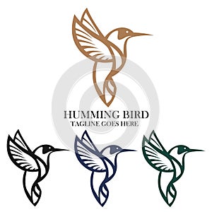 Hummingbird Elegant Natural Flying Animal Concept