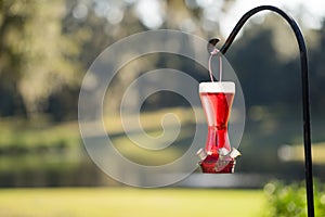 Hummingbird feeder