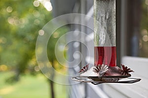 Hummingbird Feeder