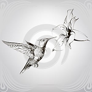 Hummingbird in a floral ornament. vector illustration