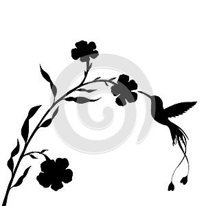 Hummingbird and flower silhouettes