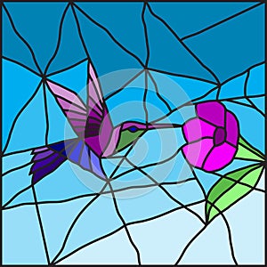 Hummingbird on a flower stained glass