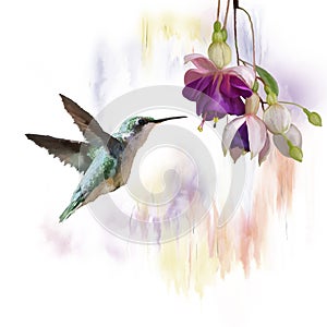 Hummingbird and flowers watercolor