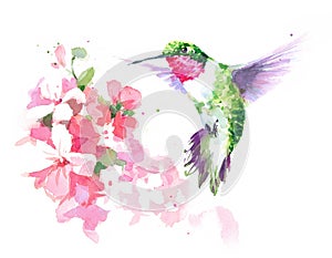 Hummingbird flying around Flowers Watercolor Bird Illustration Hand Drawn