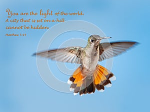 Hummingbird hovering in the sky with encouraging quotation