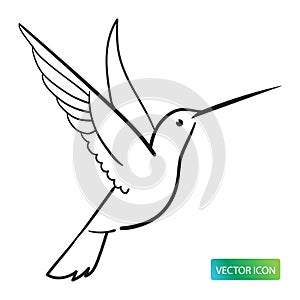 Hummingbird Icon Or Logo Design Vector Image On White Background. Hummingbird Line Logo Icon.