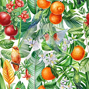 hummingbird, leaves, fruit and flowers, tropical background, watercolor jungle. Floral Seamless pattern