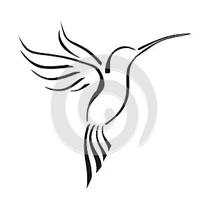 Hummingbird line art logo icon designs