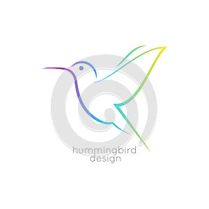 Hummingbird logo design. Colibri bird icon on white background