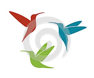 Hummingbird logo. Isolated hummingbird on white background
