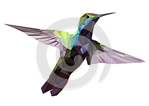 Hummingbird low poly design, geometric design