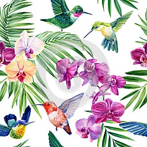 Hummingbird and orchid flower, seamless pattern tropical leaves, watercolor illustration, jungle design