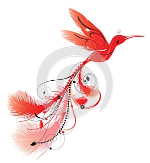 Hummingbird phoenix