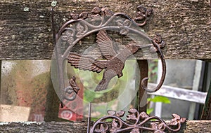 Hummingbird plant hanger on wood