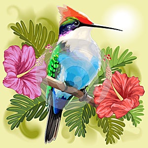 Hummingbird resting and Hibiscuses Watercolor Style Vector illustration