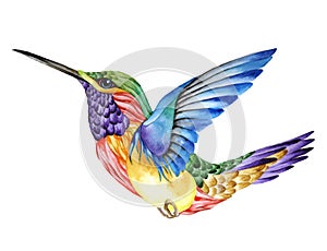 Hummingbird tattoo, watercolor painting