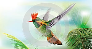 Hummingbird tufted coquette Lophornis ornatus over palm leaves