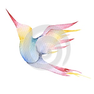 Hummingbird, watercolor painting