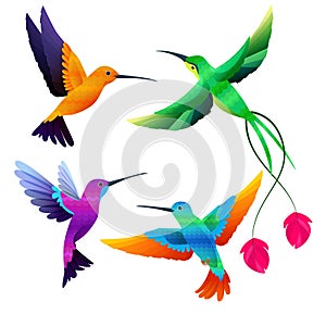 Hummingbirds collection. Exotic tropical little birds flying vector cartoon set