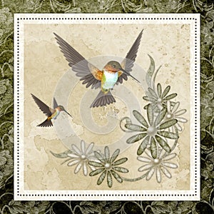 Hummingbirds & Design Background