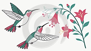 Hummingbirds floral branch vector, delicate bird art, nature flower design vector design Generative AI photo