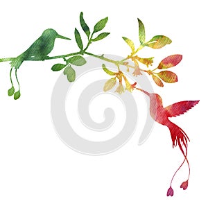 Hummingbirds and flowers silhouettes photo