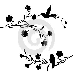 Hummingbirds and flowers silhouettes