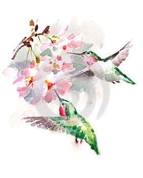 Hummingbirds flying around Flowers Watercolor Bird Illustration Hand Drawn