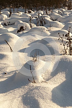 hummocks in the swamp large drifts after snowfalls