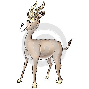 Humorous antelope