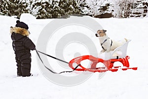 Humorous concept of dog sledding with little boy pulling sledge and dog riding as musher