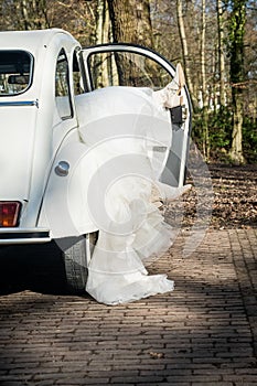 Humorous detail of a wedding reportage in the park