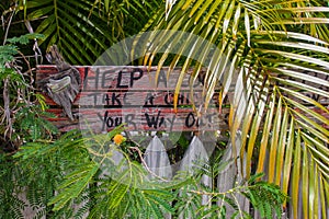 Humorous rustic wooden sign by picket fence in Key West surrounded by tropcal plants says Help a local sleep- Take a chicken with