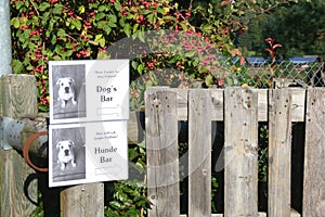 Humorous sign for a Dog`s Bar Hunde Bar at a pumpkin festival, Germany.