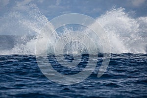 Humpback Splash After Breach