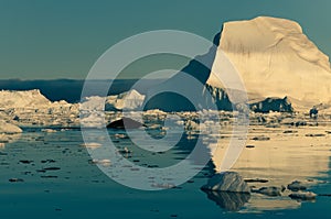 Humpback whale among the icebergs in Ilulissat icefjord, west Greenland