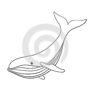 Humpback whale logo in line art style. Undersea animal in hand drawn style. Vector illustration isolated on a white