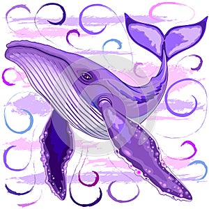 Humpback Whale on Purple and Pink