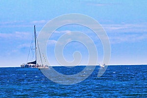 Humpback whale watching on Maui.