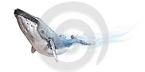 Humpback whale on a white background. Dispersion abstract wave effect