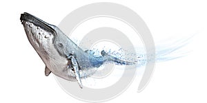 Humpback whale on a white background. Dispersion abstract wave effect photo