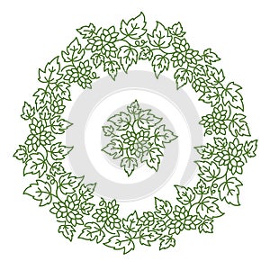 Humulus, hop circle frame floral ornament. Thick line pattern. Editable outline stroke. Vector line.