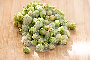 Humulus Lupulus